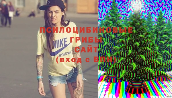 a pvp Карпинск