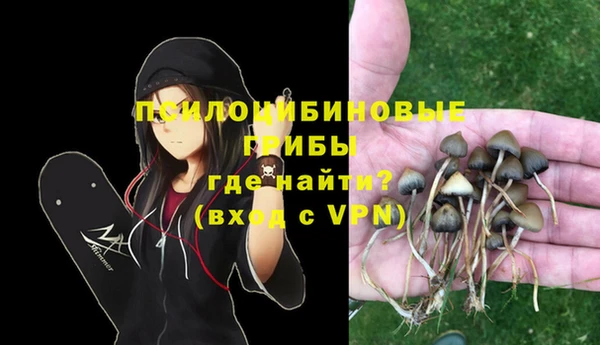 a pvp Карпинск